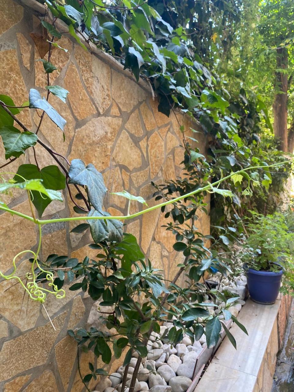 Olive Tree Apartment Sarandë Esterno foto